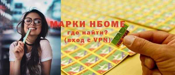 индика Снежинск