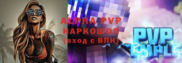 индика Снежинск