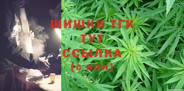 индика Снежинск