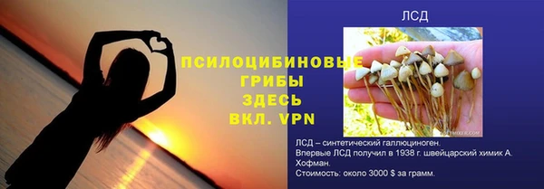 мдпв Снежногорск