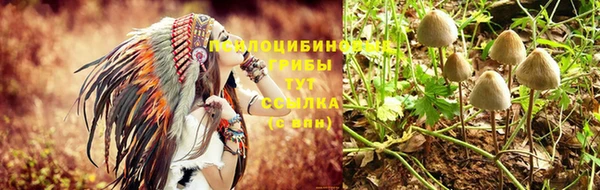 мдпв Снежногорск
