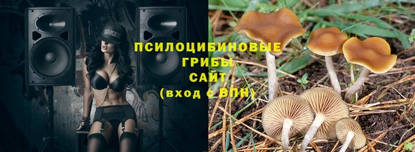 мдпв Снежногорск
