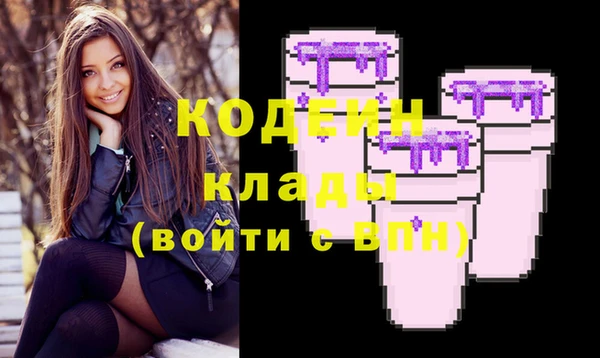 герыч Дубна