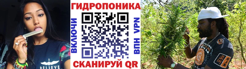МЕГА вход  Кочубеевское  Бошки Шишки план 